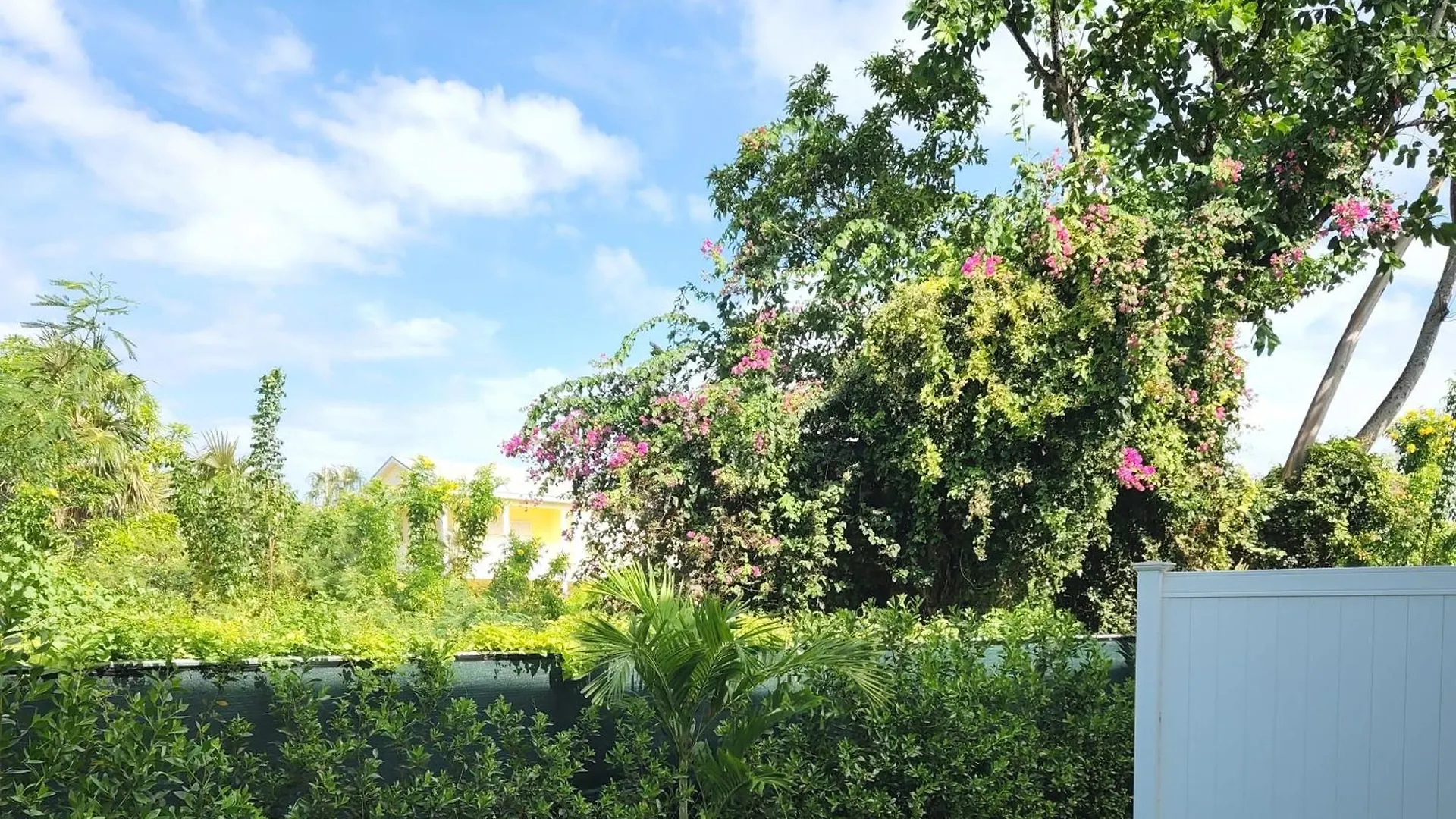 Modern 2 Bedroom Walking Distance To The Beach! West Bay Cayman Islands